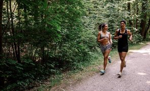 exerccios cardio caminhada