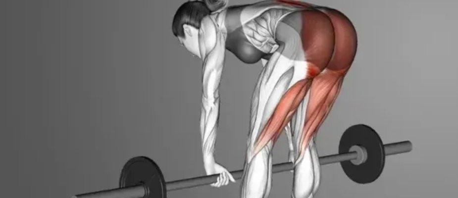 Qual exercício substitui o stiff? Guia para treinar com segurança e eficiência Qual exercício substitui o stiff? Guia para treinar com segurança e eficiência